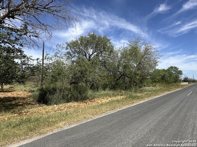 Details for 0000 Cr 163  , Elmendorf, TX 78112