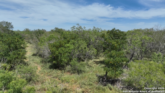 Image 6 of 9 For 0000 Cr 163