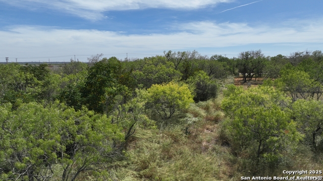 Image 7 of 9 For 0000 Cr 163