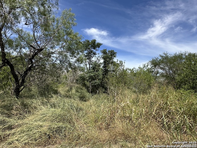 Image 8 of 9 For 0000 Cr 163