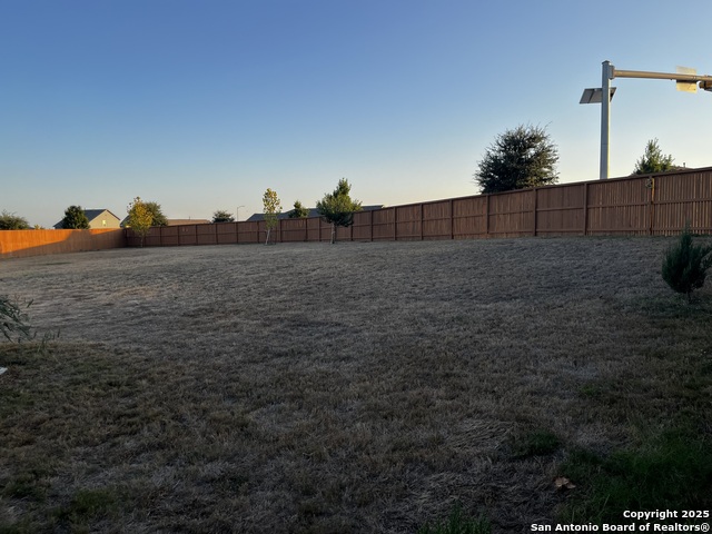 Image 12 of 16 For 13720 Pullet