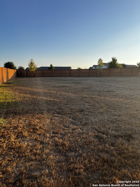 Image 13 of 16 For 13720 Pullet