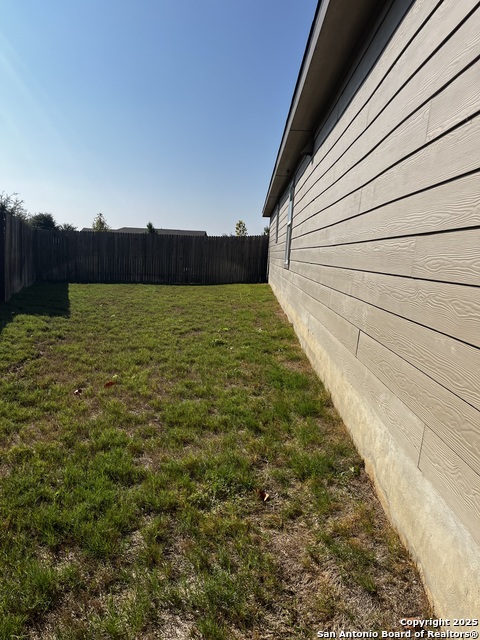 Image 16 of 16 For 13720 Pullet