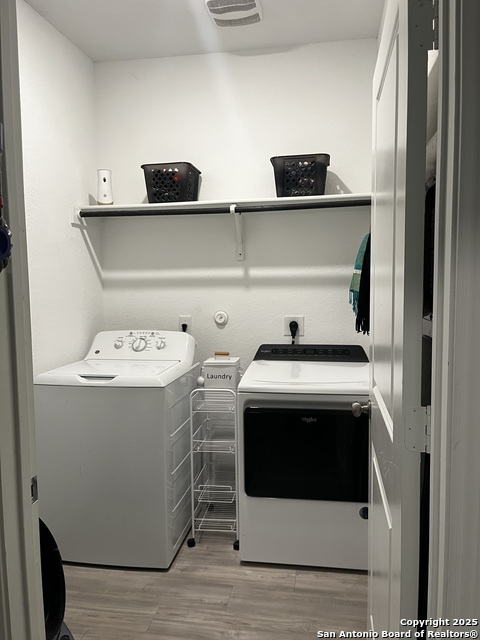 Image 6 of 16 For 13720 Pullet