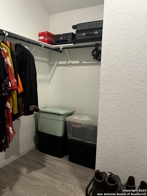 Image 9 of 16 For 13720 Pullet