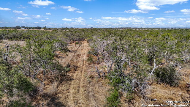 Listing photo id 10 for 6715 Loop 1604 S