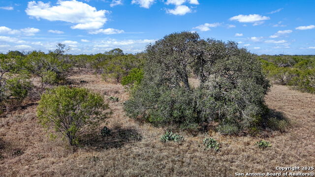 Listing photo id 12 for 6715 Loop 1604 S