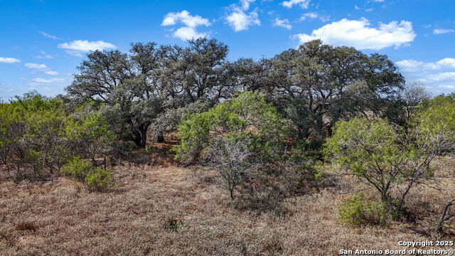 Listing photo id 14 for 6715 Loop 1604 S