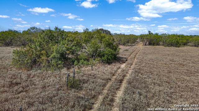 Listing photo id 17 for 6715 Loop 1604 S