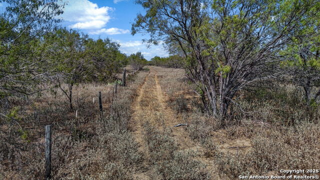 Listing photo id 19 for 6715 Loop 1604 S