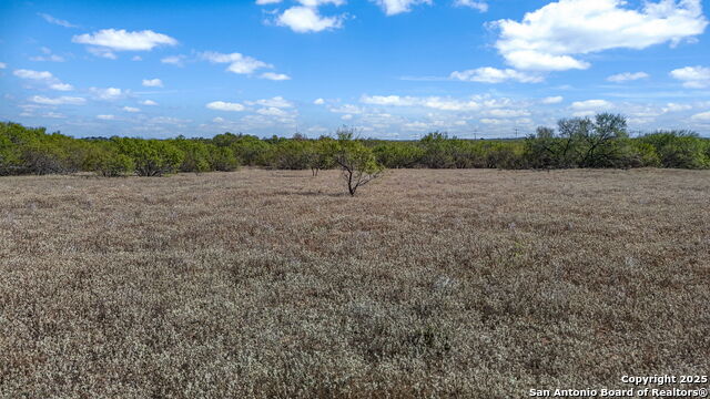 Listing photo id 20 for 6715 Loop 1604 S