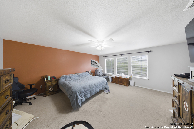 Image 18 of 28 For 10136 Del Lago