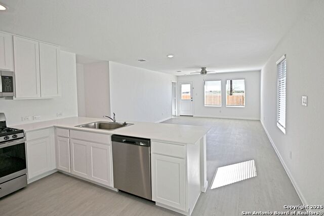 Image 10 of 34 For 1838 Musk Rose