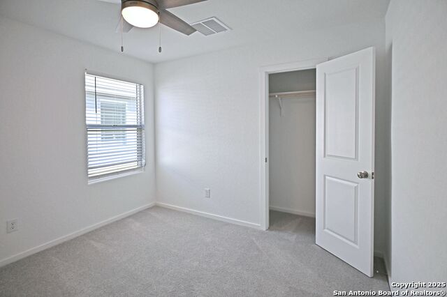 Image 12 of 34 For 1838 Musk Rose