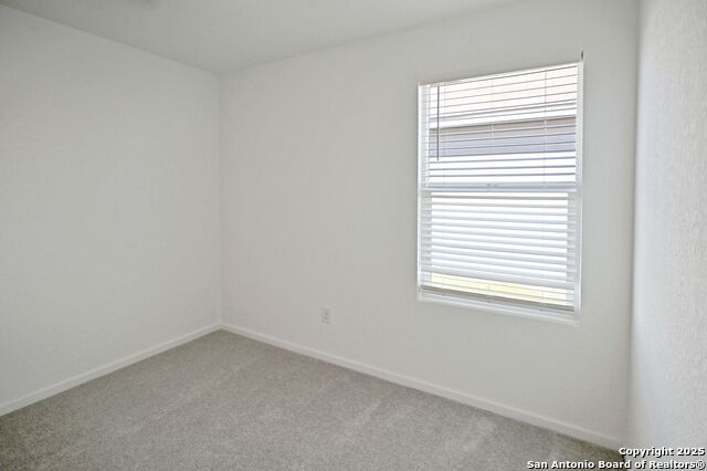 Image 14 of 34 For 1838 Musk Rose