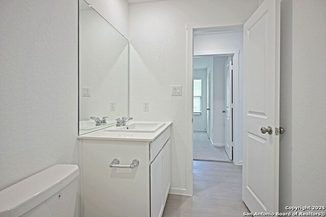 Image 16 of 34 For 1838 Musk Rose