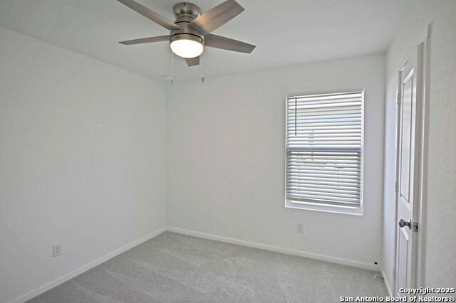 Image 17 of 34 For 1838 Musk Rose