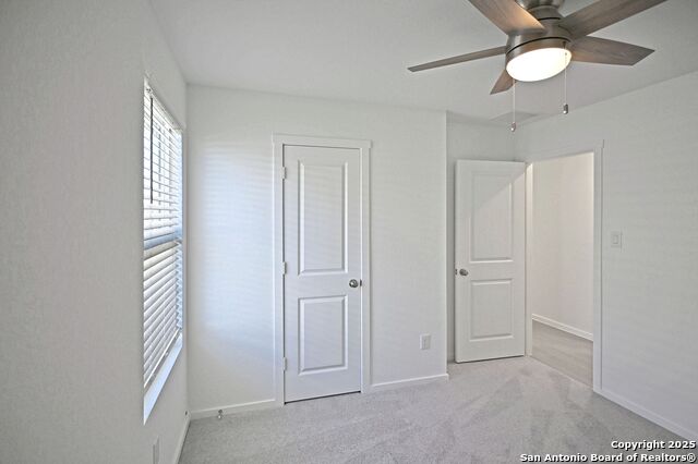 Image 18 of 34 For 1838 Musk Rose