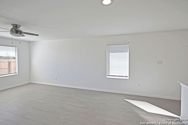 Image 21 of 34 For 1838 Musk Rose