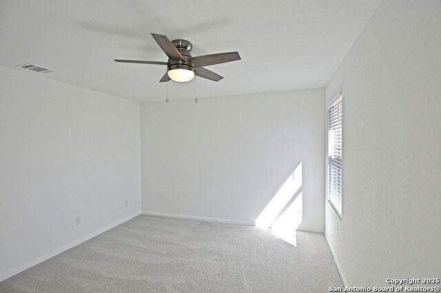 Image 25 of 34 For 1838 Musk Rose