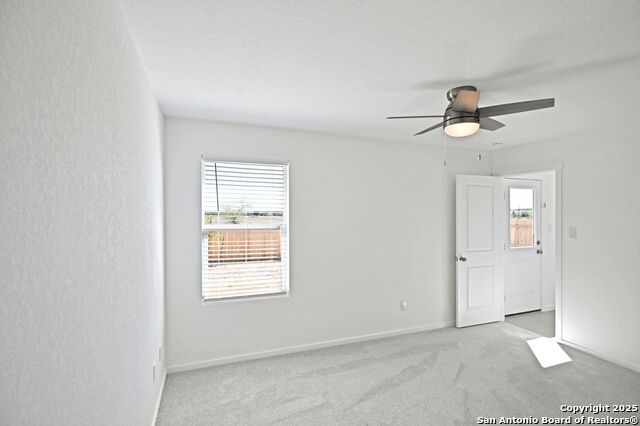 Image 26 of 34 For 1838 Musk Rose