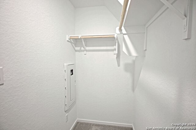 Image 29 of 34 For 1838 Musk Rose