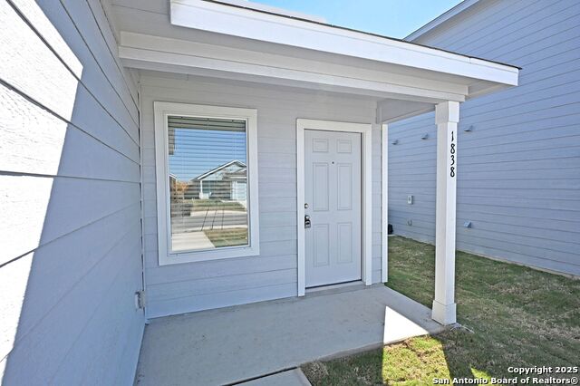 Image 3 of 34 For 1838 Musk Rose