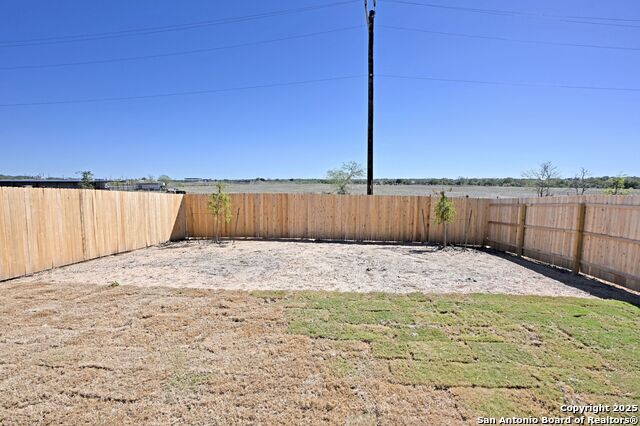 Image 31 of 34 For 1838 Musk Rose