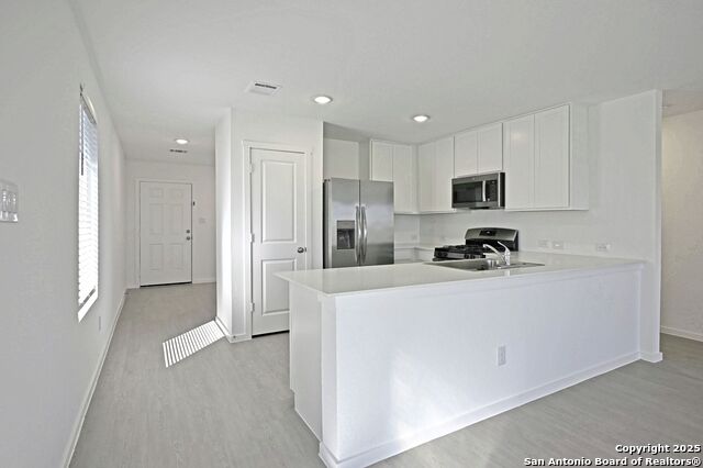 Image 5 of 34 For 1838 Musk Rose