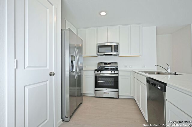 Image 6 of 34 For 1838 Musk Rose