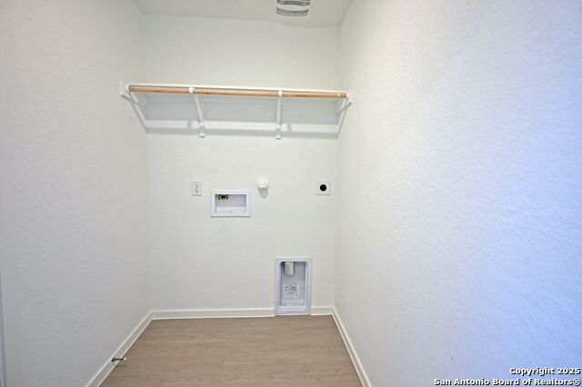 Image 7 of 34 For 1838 Musk Rose