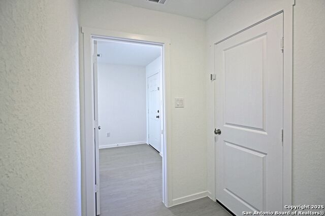 Image 8 of 34 For 1838 Musk Rose