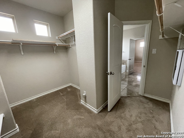 Image 11 of 20 For 1442 Rock Dove