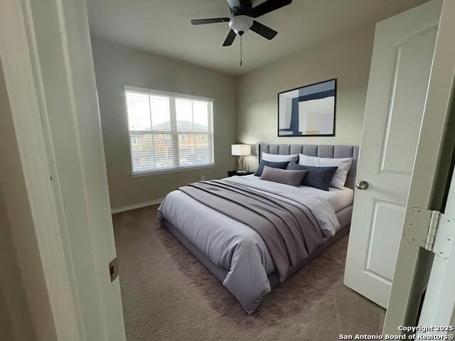 Image 14 of 20 For 1442 Rock Dove