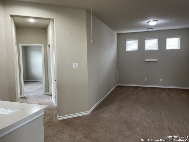 Image 17 of 20 For 1442 Rock Dove