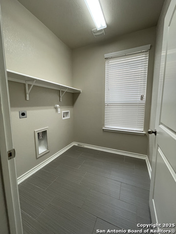 Image 18 of 20 For 1442 Rock Dove