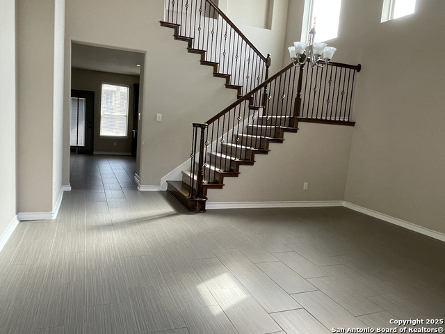 Image 3 of 20 For 1442 Rock Dove