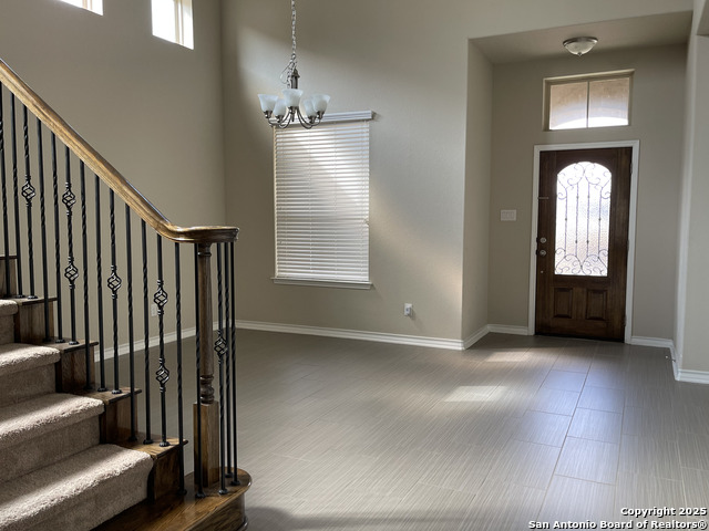 Image 4 of 20 For 1442 Rock Dove