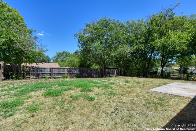 Image 23 of 25 For 210 Lost Forest