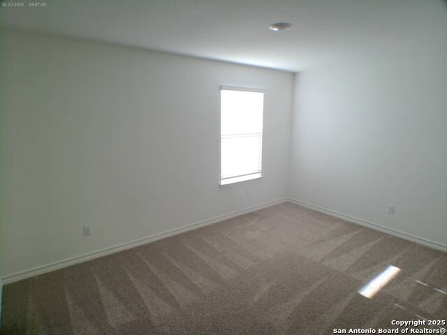 Image 13 of 14 For 11804 Red Burro