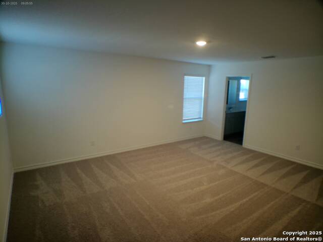 Image 8 of 14 For 11804 Red Burro