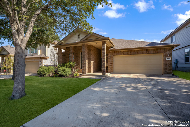 Image 2 of 33 For 439 Redbird Song