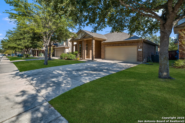 Image 3 of 33 For 439 Redbird Song