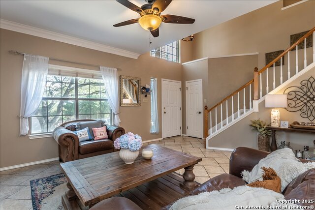 Image 6 of 29 For 25211 Lost Arrow