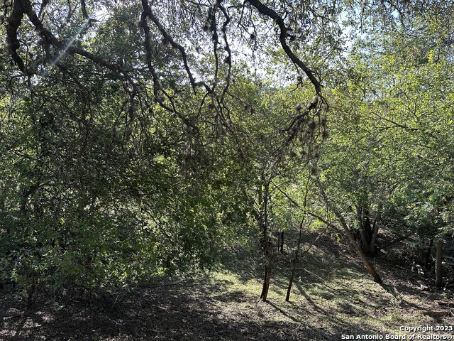 Image 20 of 20 For 502 Cypress