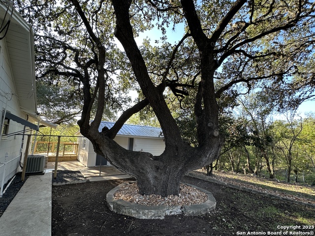 Image 5 of 20 For 502 Cypress