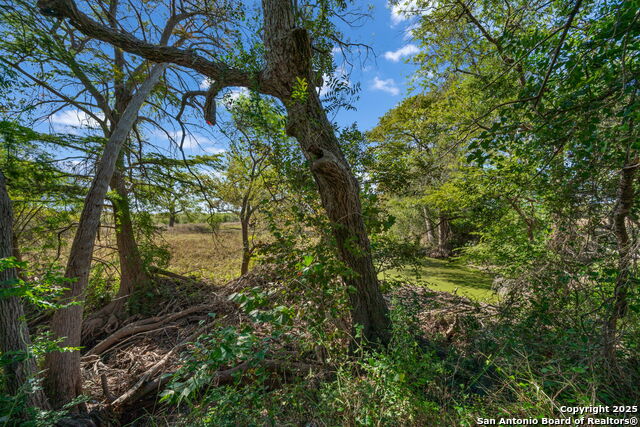 Listing photo id 37 for 15326 Gross Lane