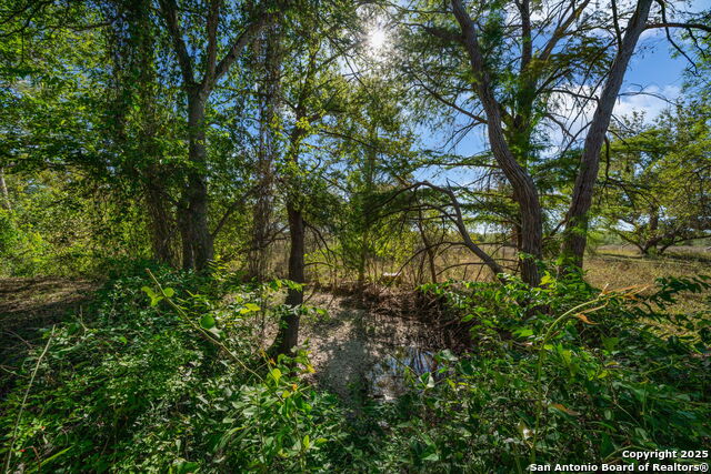 Listing photo id 38 for 15326 Gross Lane