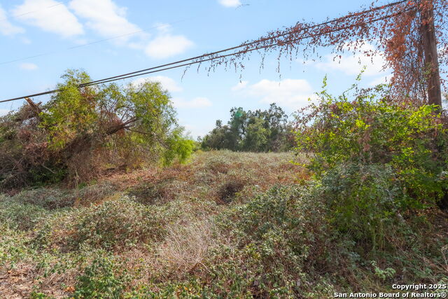 Image 15 of 15 For 3810 New Mathis