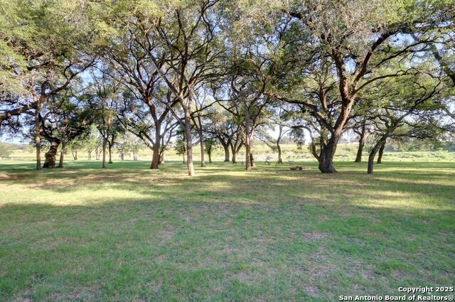 Image 161 of 171 For 325 River Ridge